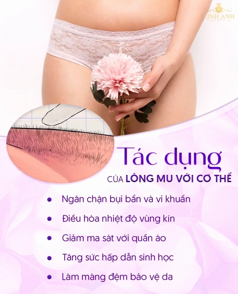 Ảnh con gái mu to thì sao