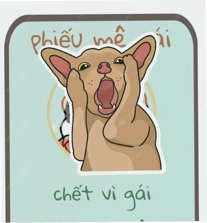 ảnh gái bựa chế vui