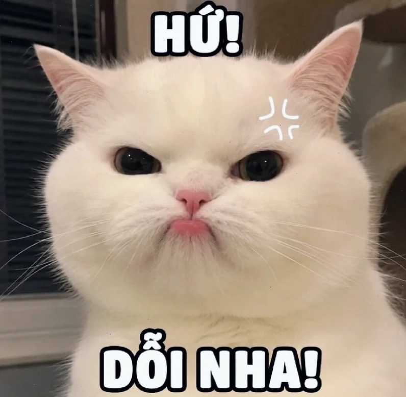 ảnh gái bựa hài