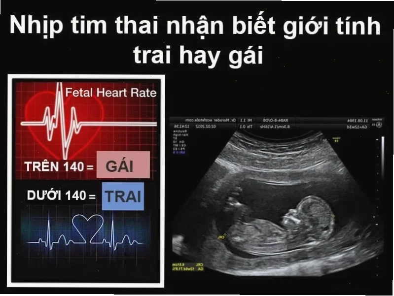 Thai nhi chuyển động bụng bầu to là con trai hay gái