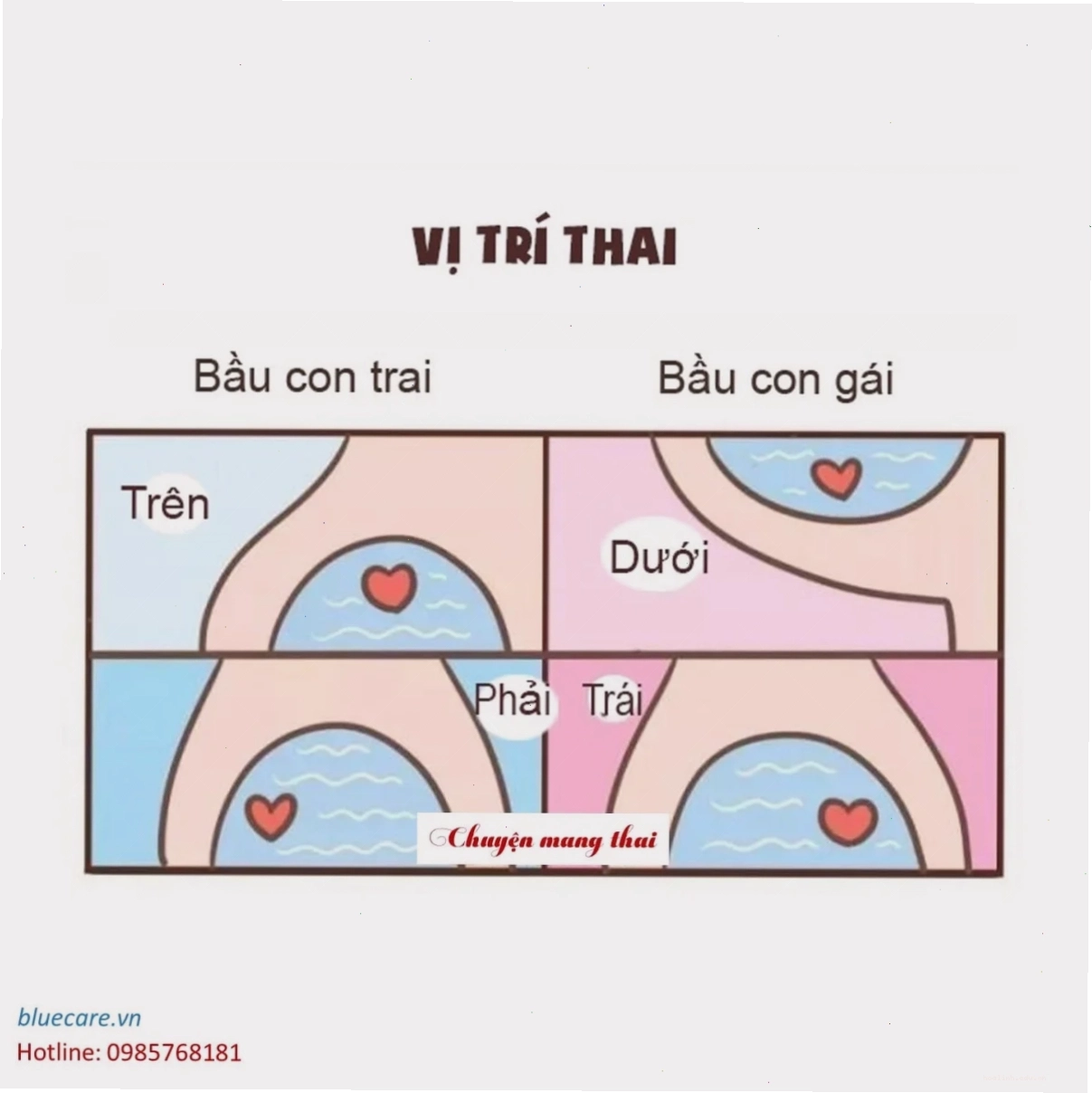 bụng bầu to là con trai hay gái