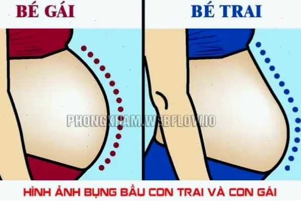 Hình dáng bụng tròn thường gặp bụng bầu to là con trai hay gái