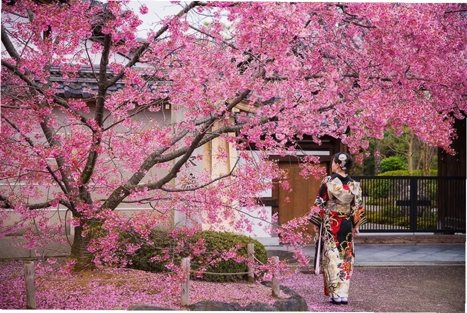 Kimono đôi cô gái nhật bản mặc kimono chụp ảnh đôi