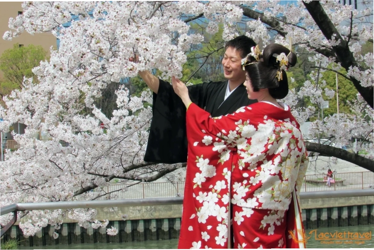 Kimono và cuộc sống cô gái nhật bản mặc kimono đi xe đạp
