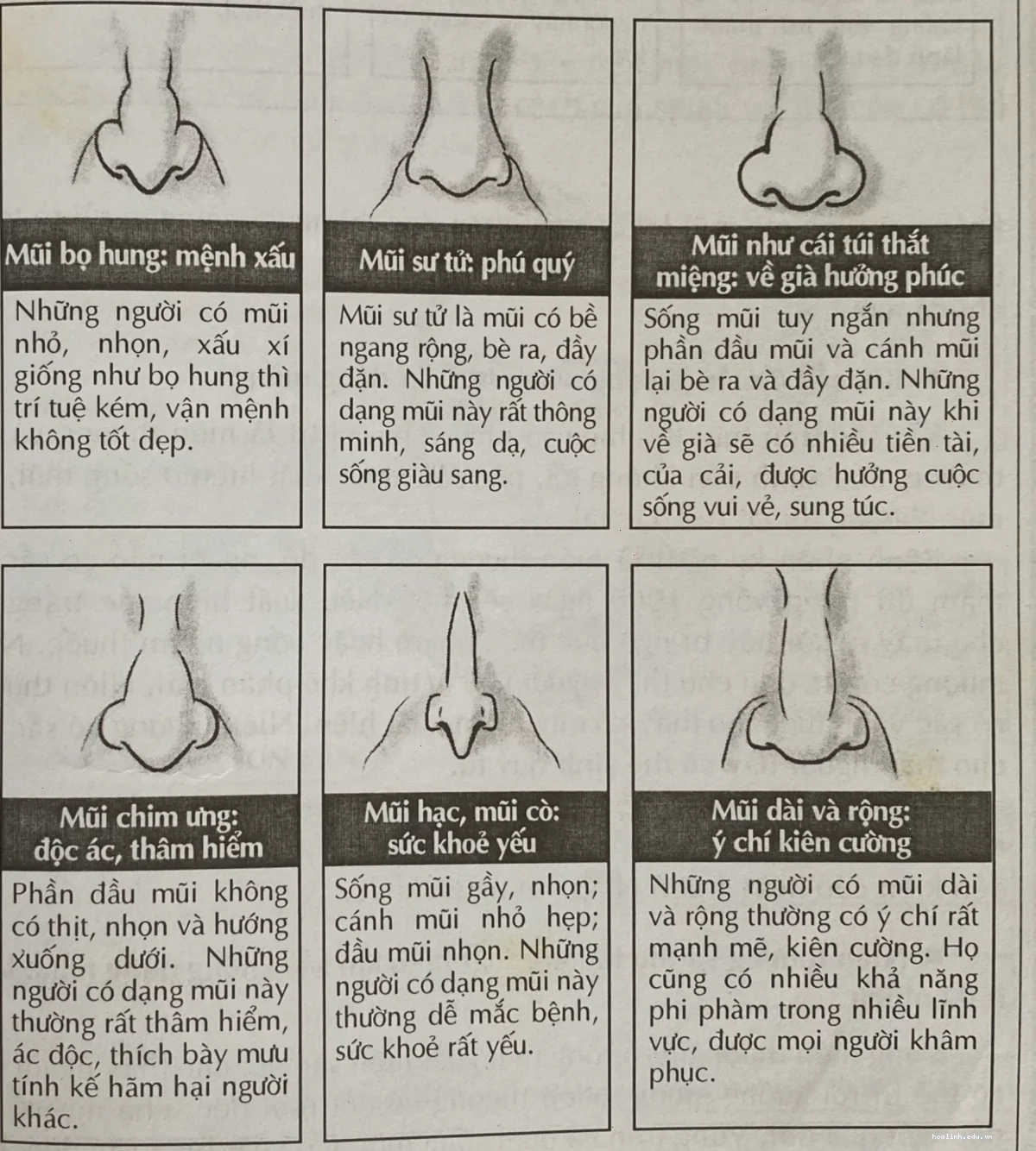 con gái có cánh mũi to tại sự kiện