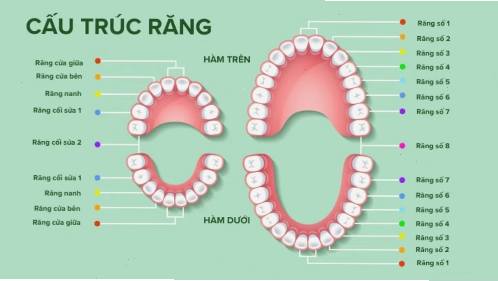 con gái có răng cửa to tỏa sáng