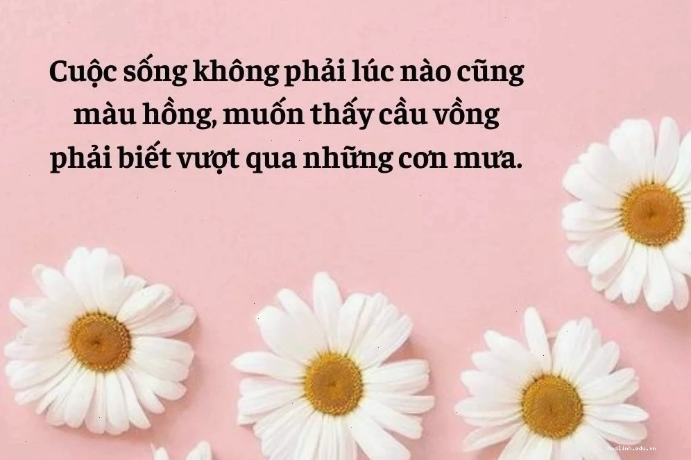 em là cô gái mặc áo hồng cười rạng rỡ