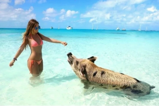 gái béo mặc bikini phối chân váy chữ A