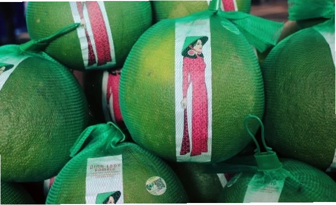 gái bưởi to độc đáo