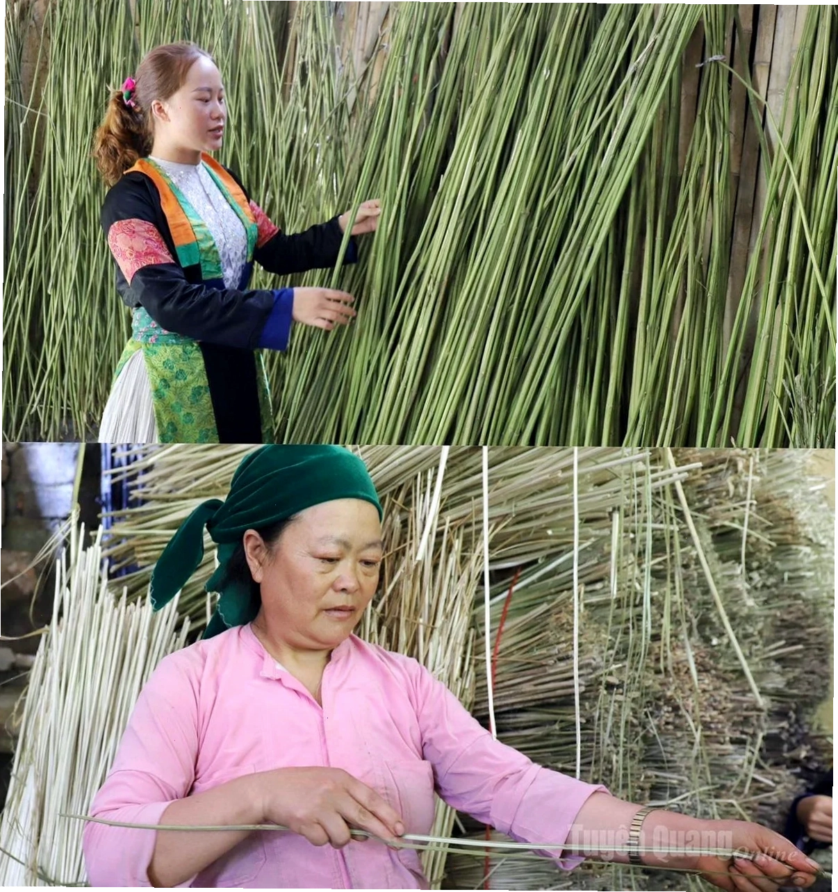 gái hàn mông to áo trắng quần xanh