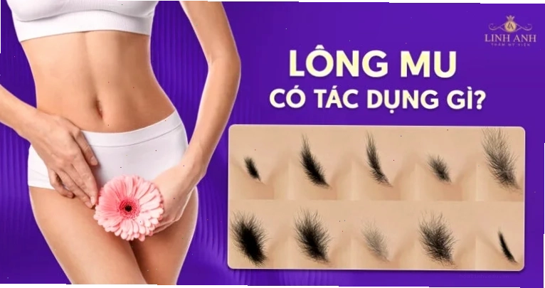 Luận bàn con gái mu to thì sao